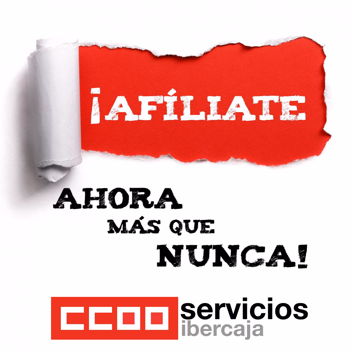 CCOO NEWS 30/11/2023